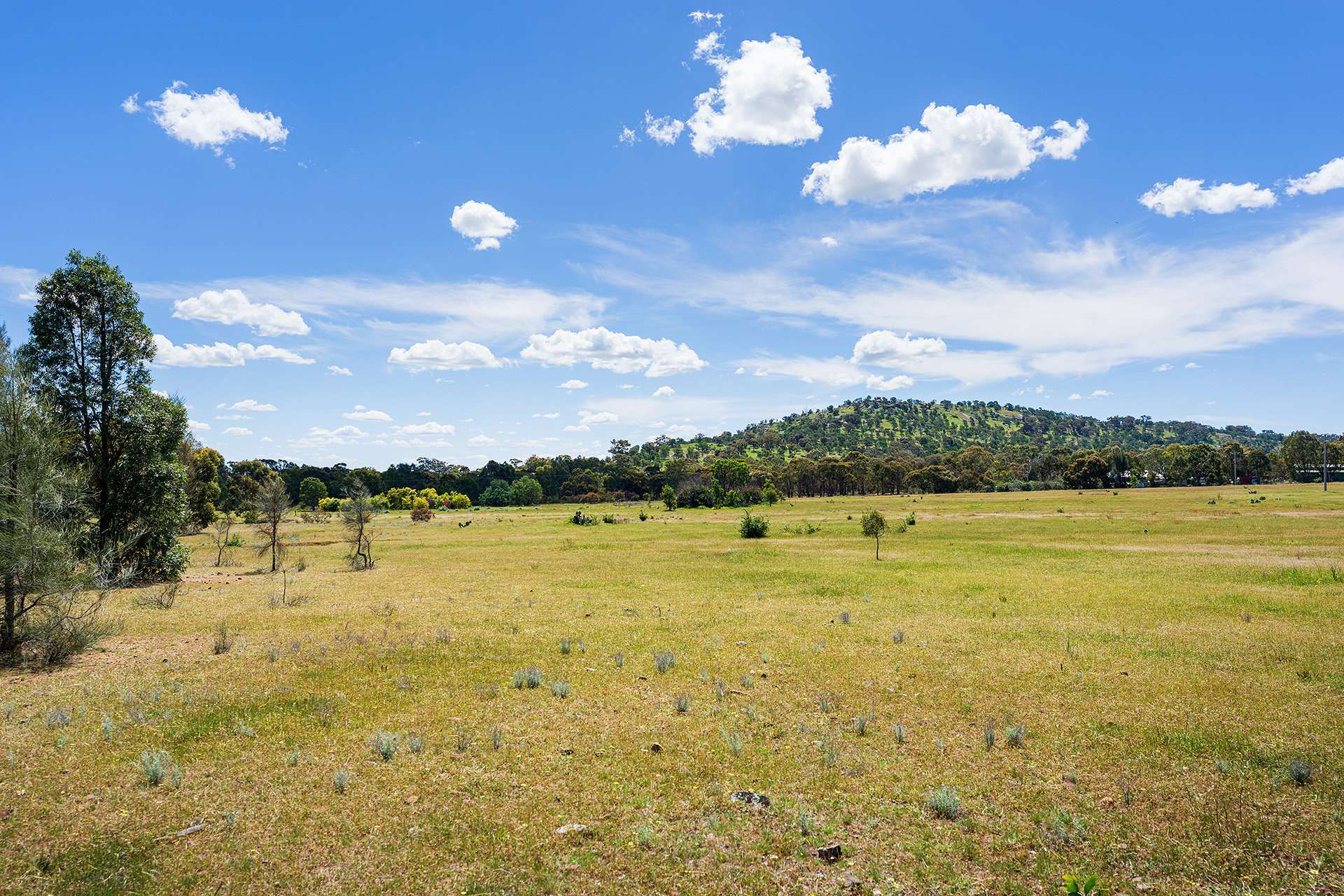 518 Mount Back Road, Tarrengower For Sale by Farmbuy.com - image 19