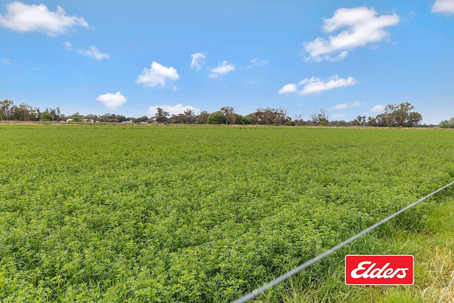 1130 Singer Road, Bamawm For Sale by Farmbuy.com - image 20