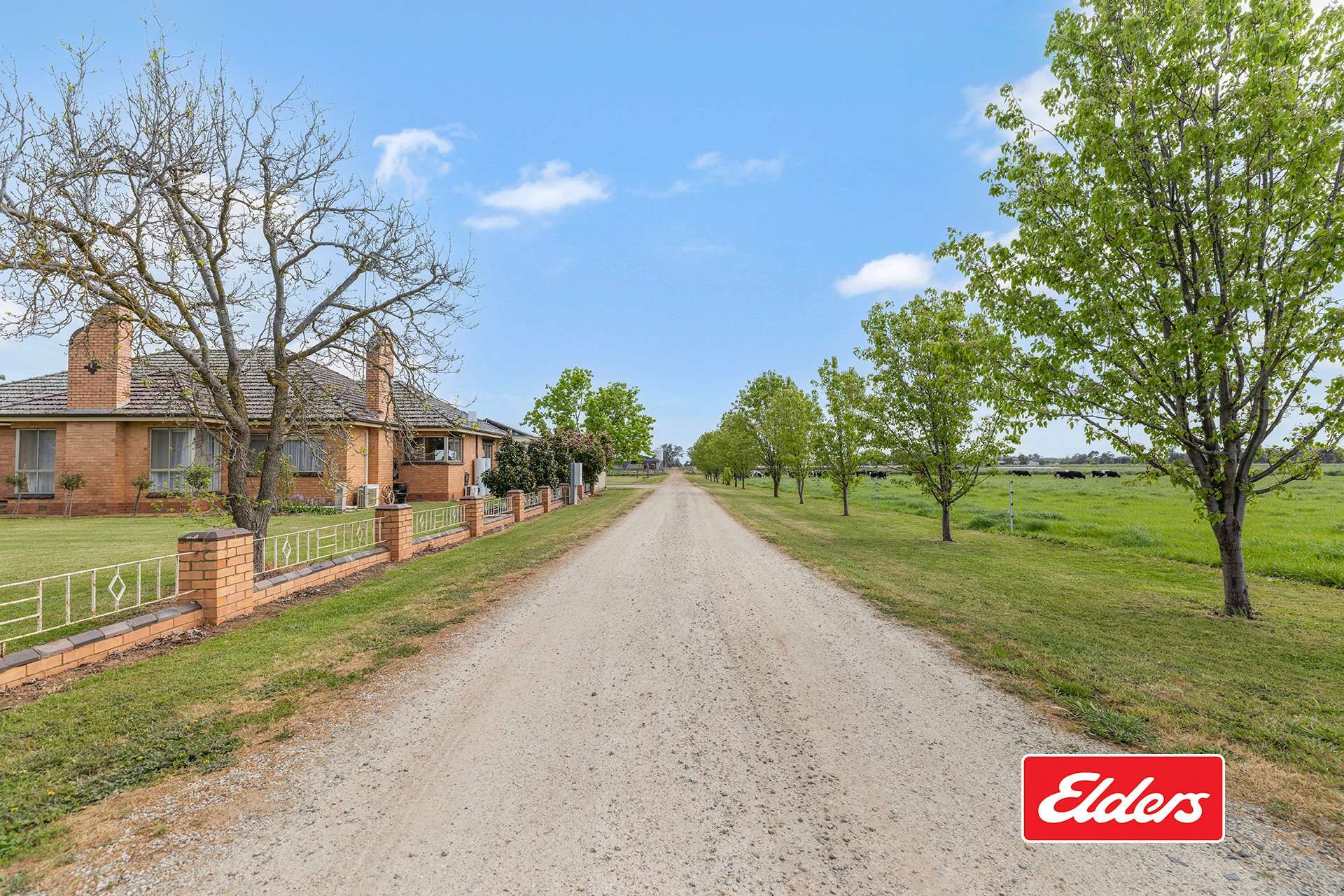 1130 Singer Road, Bamawm For Sale by Farmbuy.com - image 3