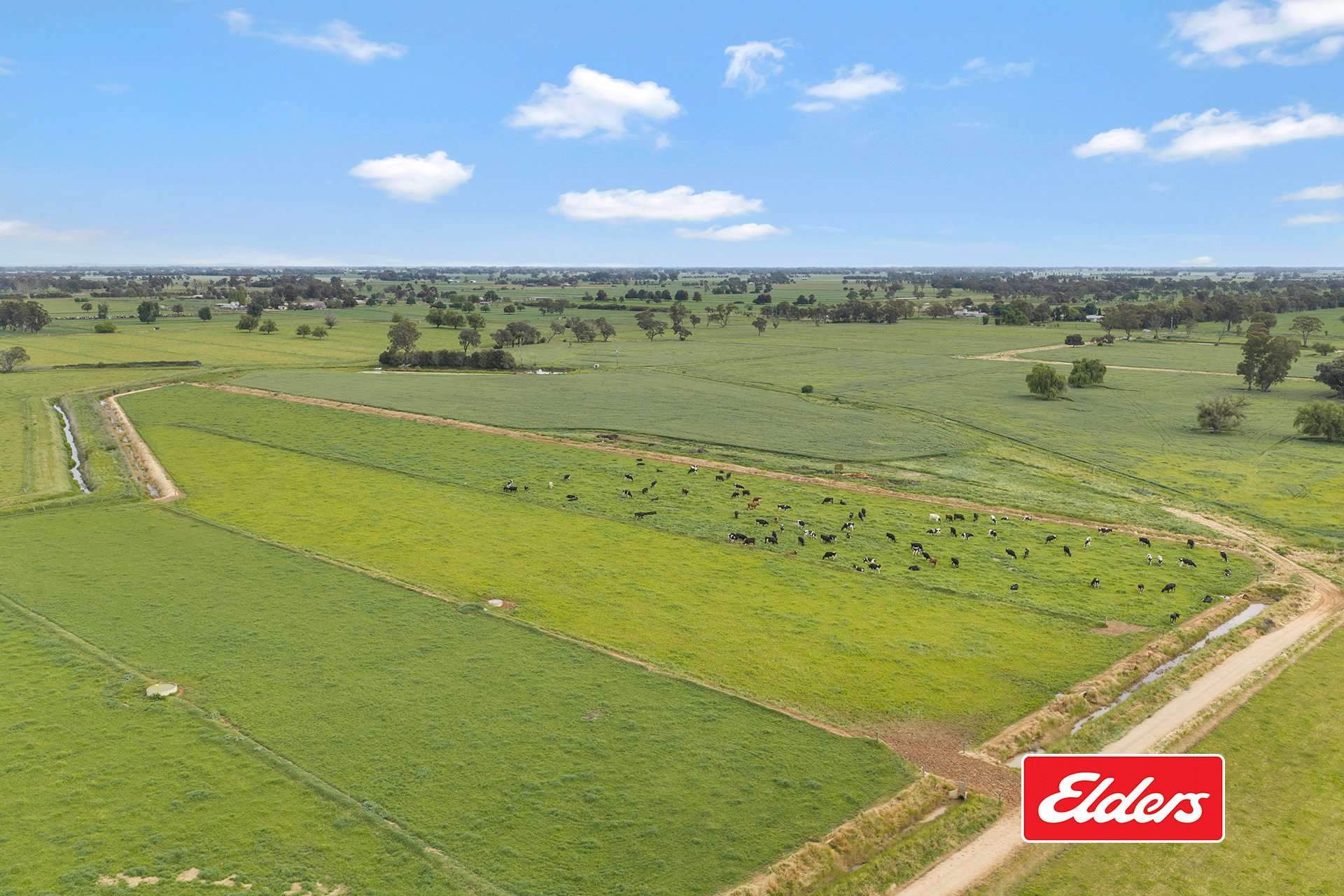 1130 Singer Road, Bamawm For Sale by Farmbuy.com - image 25