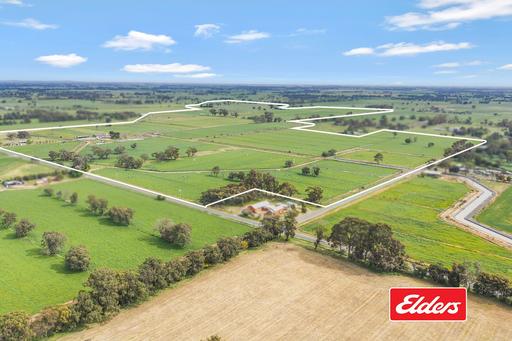 Farm For Sale - VIC - Bamawm - 3561 - Prime Dairy & Irrigation Enterprise | 129.55Ha (320.1 Acres) Across 7 Titles 