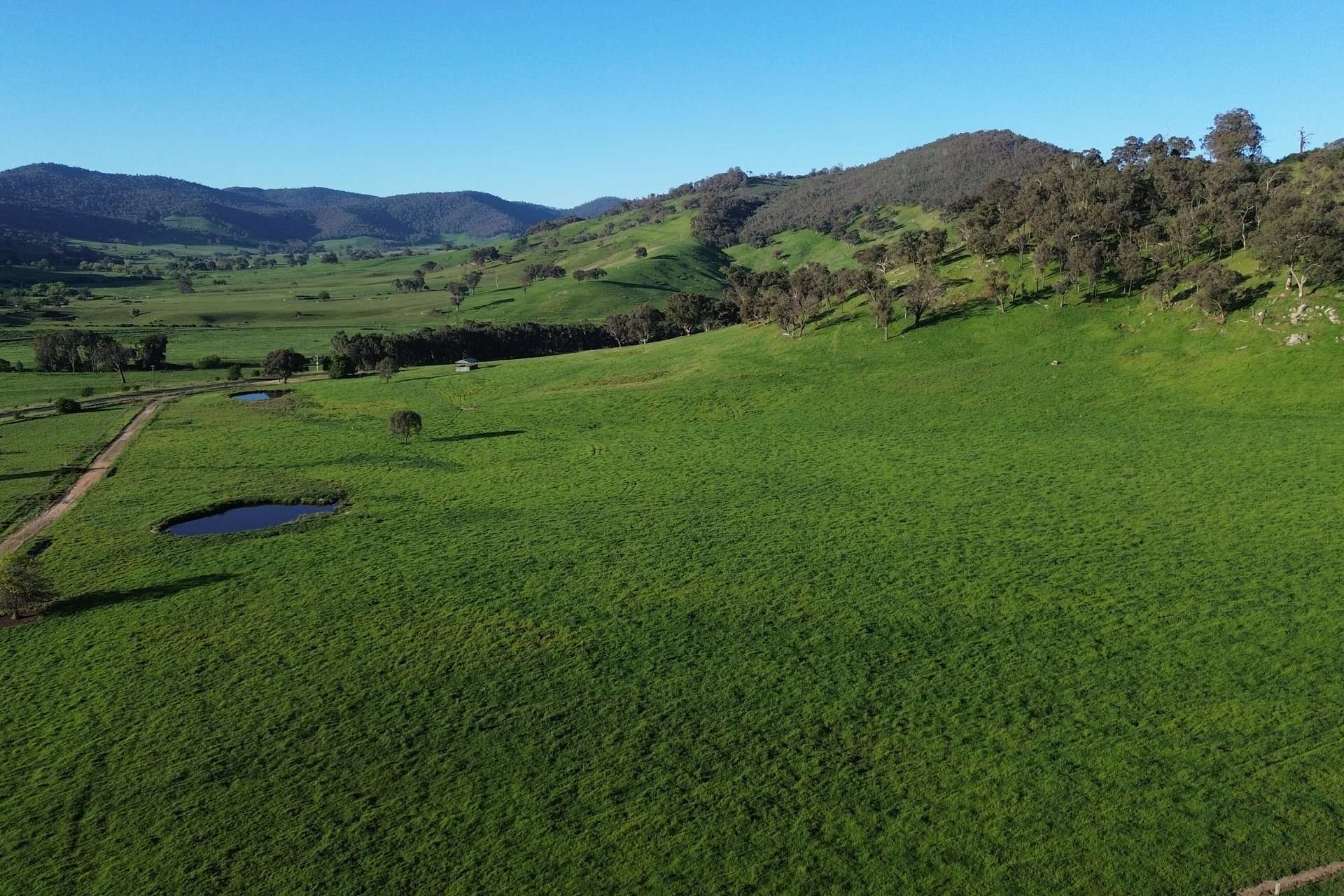 Lot 1 Sec Murray Valley Highway, Bullioh For Sale by Farmbuy.com - image 2