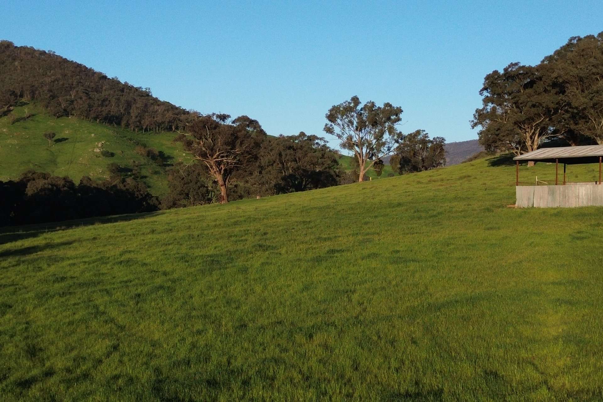 Lot 1 Sec Murray Valley Highway, Bullioh For Sale by Farmbuy.com - image 8