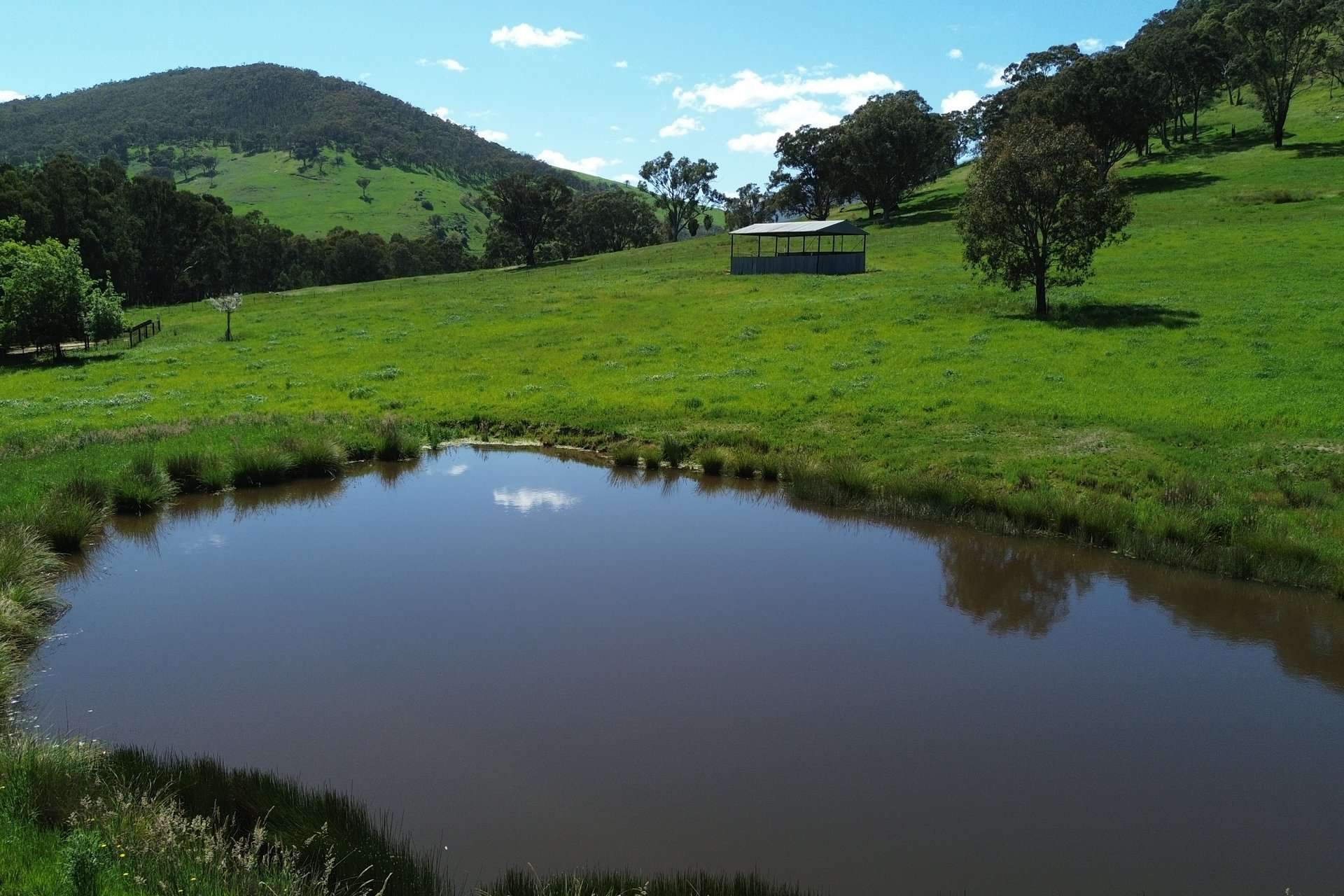 Lot 1/Sec 19, Murray Valley Highway, Bullioh For Sale by Farmbuy.com - image 13