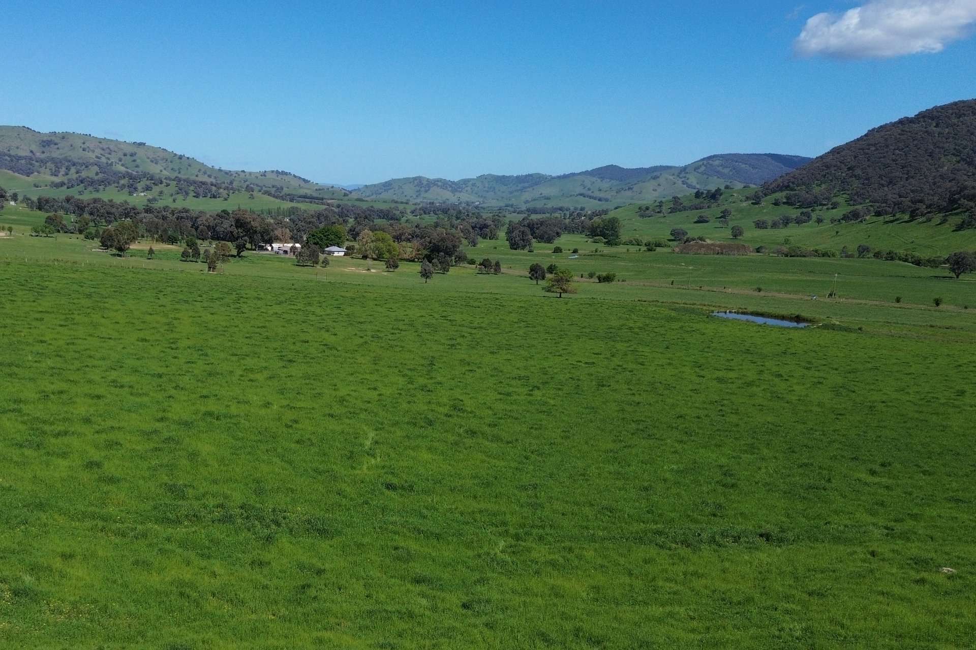 Lot 1/Sec 19, Murray Valley Highway, Bullioh For Sale by Farmbuy.com - image 3
