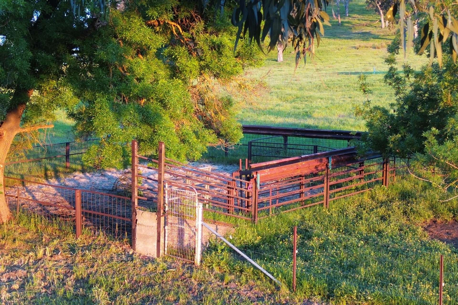 Lot 1 Sec Murray Valley Highway, Bullioh For Sale by Farmbuy.com - image 10