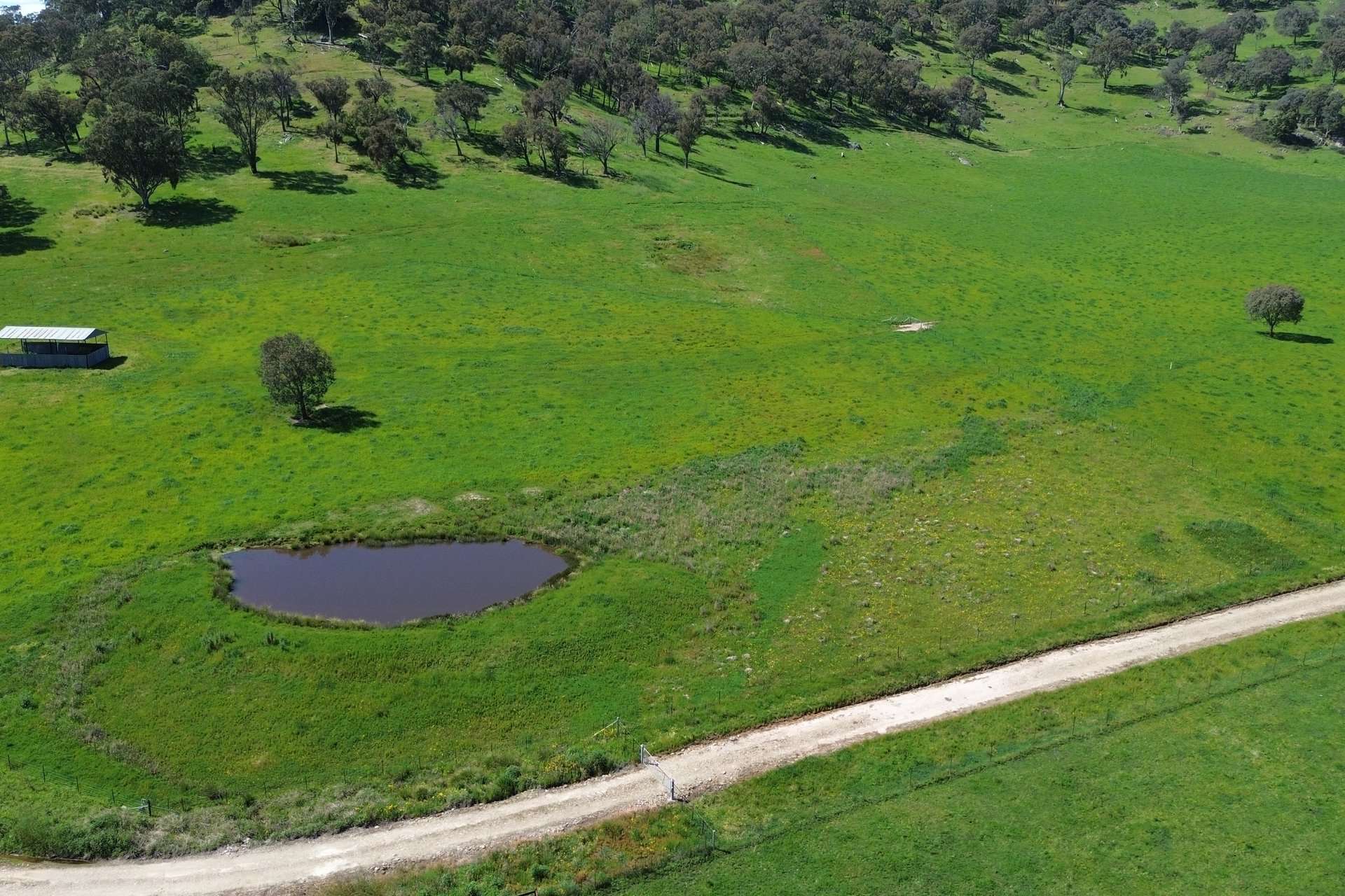 Lot 1/Sec 19, Murray Valley Highway, Bullioh For Sale by Farmbuy.com - image 9