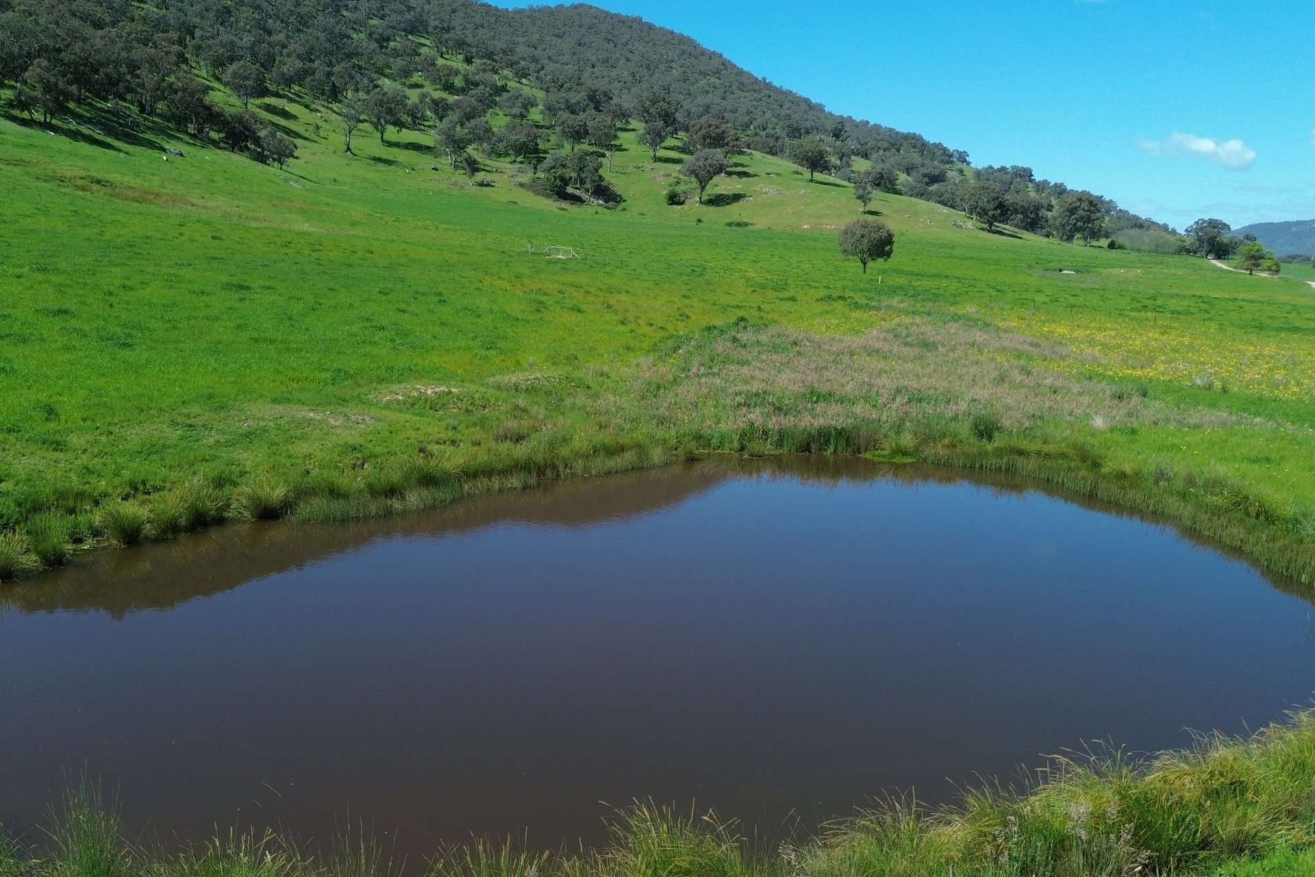 Lot 1/Sec 19, Murray Valley Highway, Bullioh For Sale by Farmbuy.com - image 14