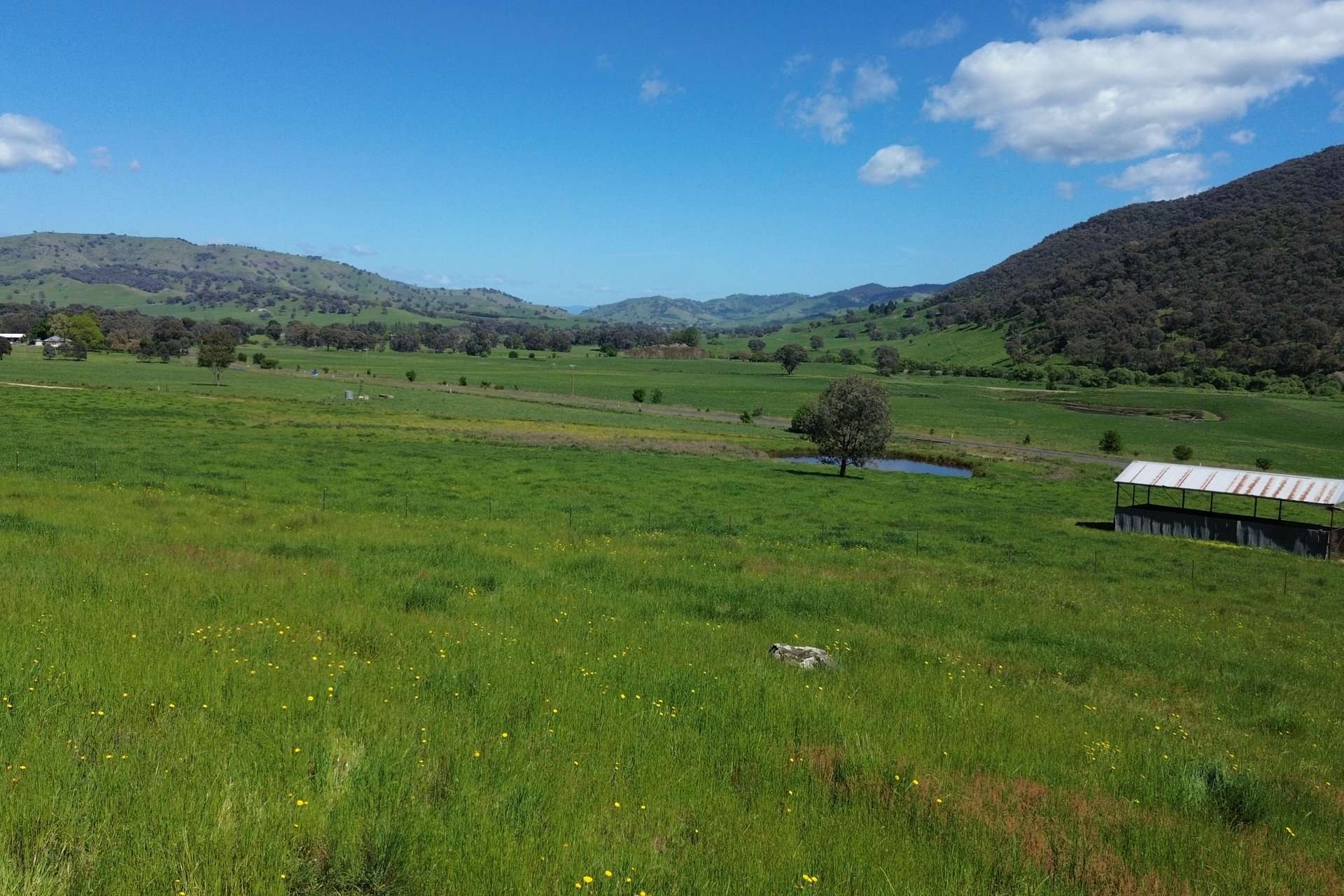 Lot 1/Sec 19, Murray Valley Highway, Bullioh For Sale by Farmbuy.com - image 15