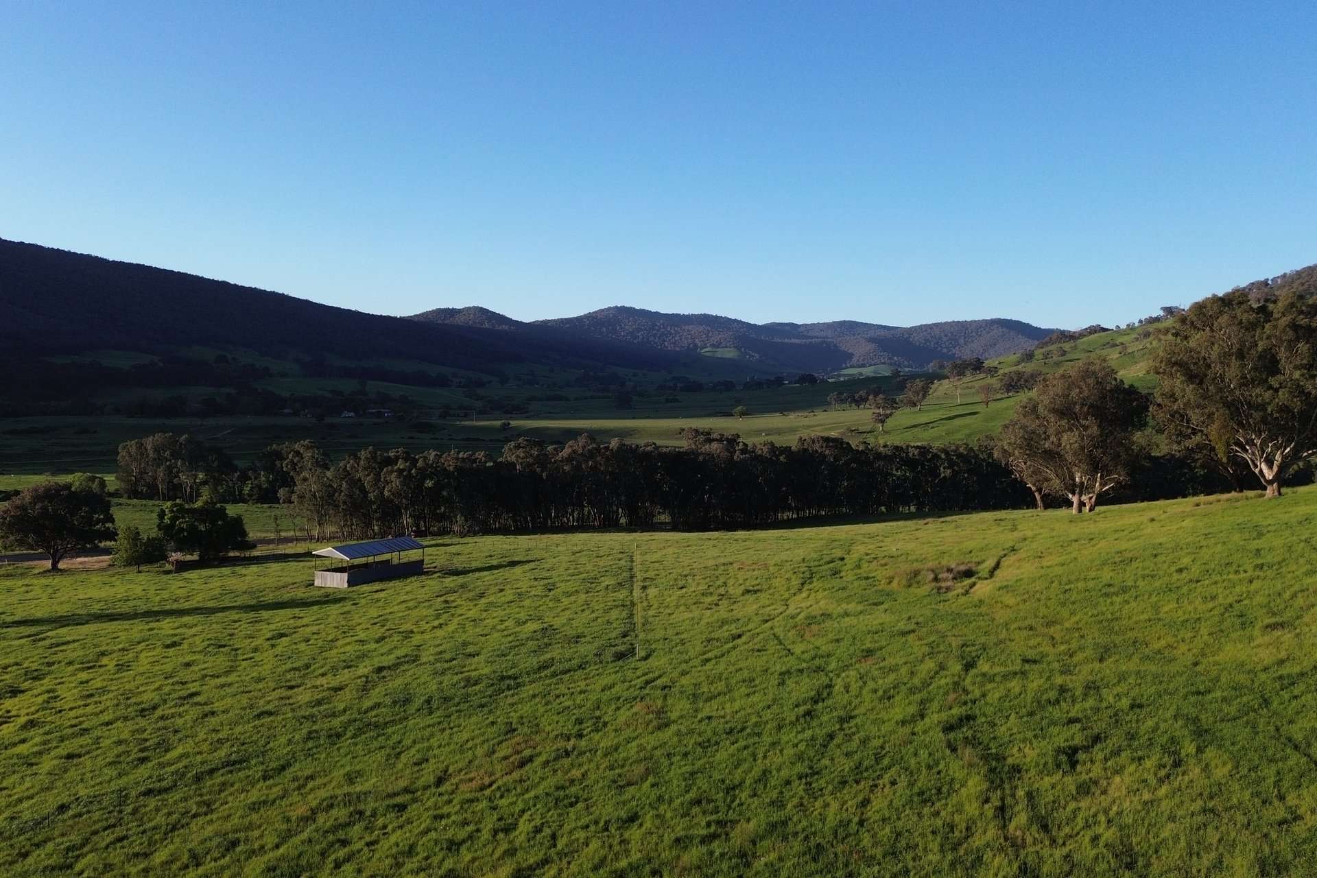 Lot 1 Sec Murray Valley Highway, Bullioh For Sale by Farmbuy.com - image 4