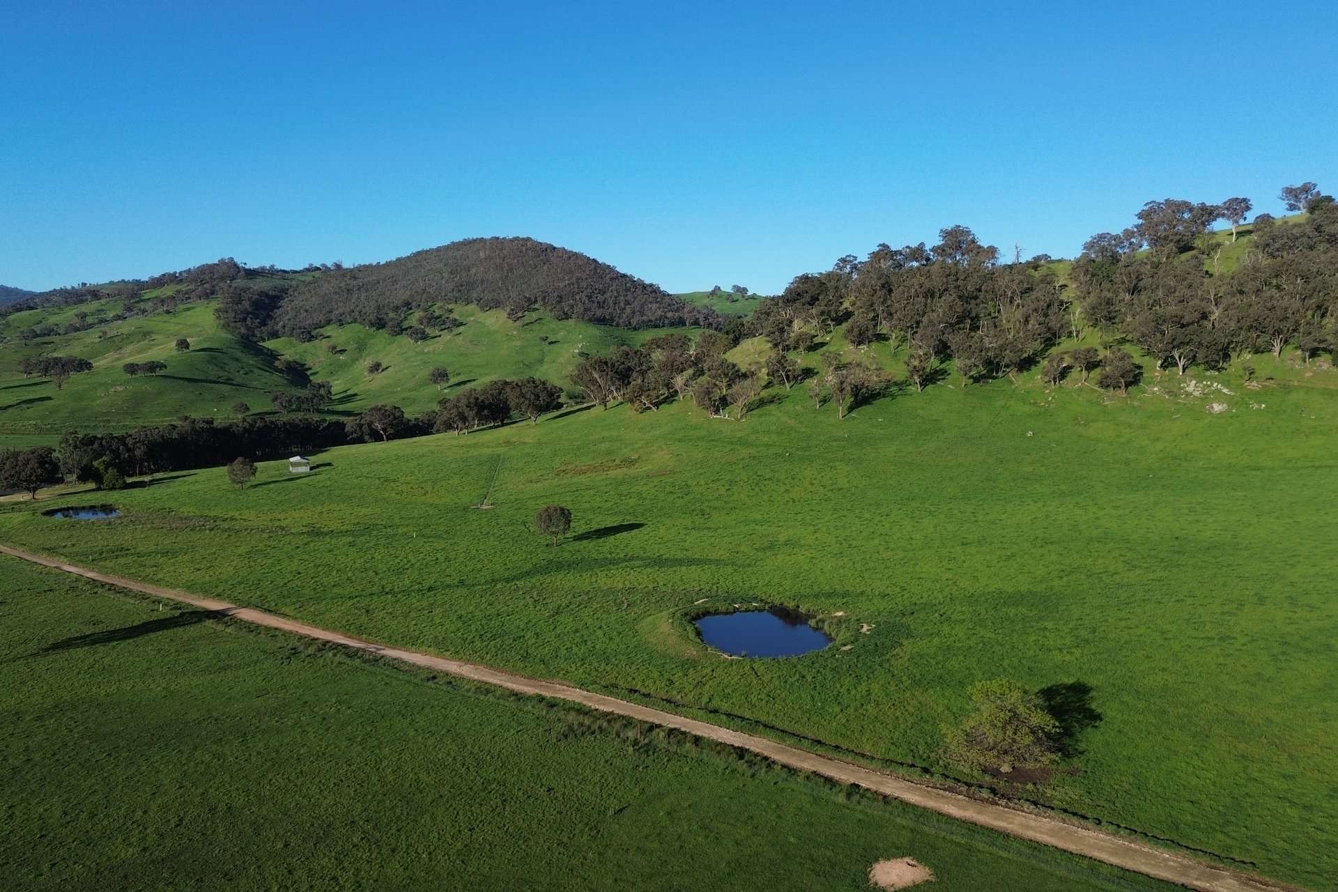 Lot 1 Sec Murray Valley Highway, Bullioh For Sale by Farmbuy.com - image 3