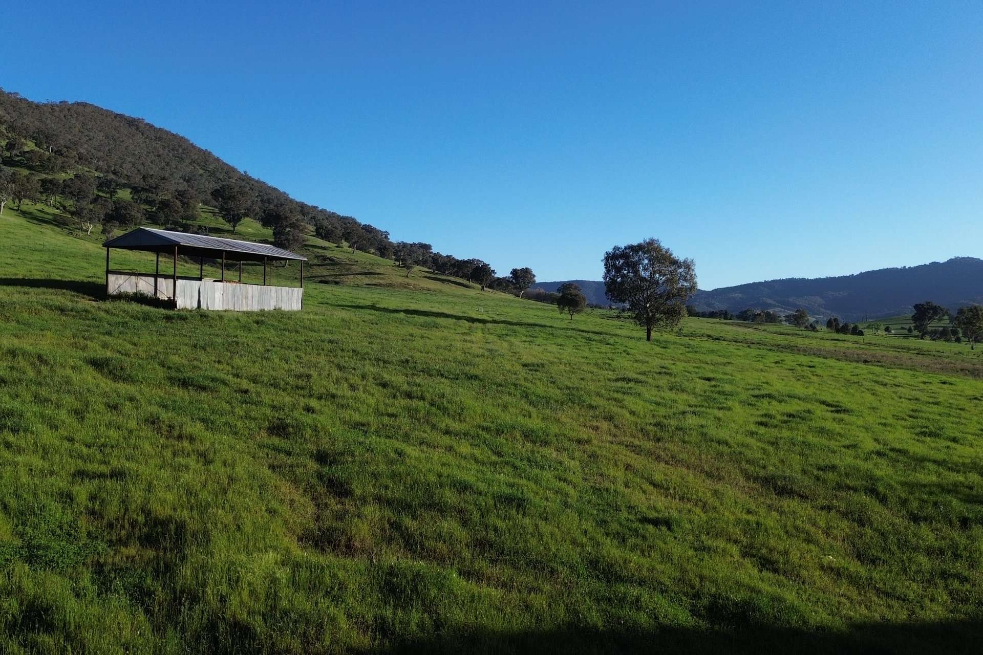Lot 1 Sec Murray Valley Highway, Bullioh For Sale by Farmbuy.com - image 5