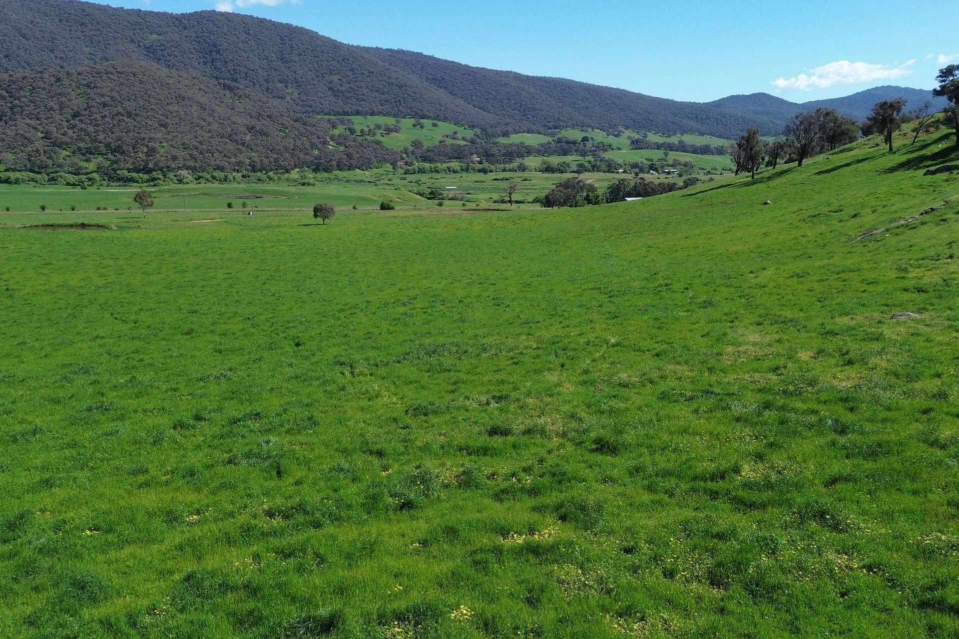 Lot 1/Sec 19, Murray Valley Highway, Bullioh For Sale by Farmbuy.com - image 2