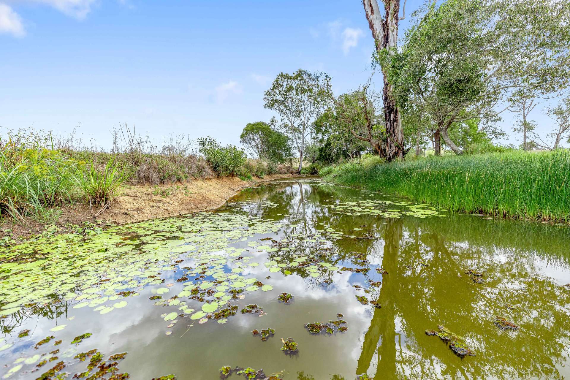 2532 Bruce Highway, Gunalda For Sale by Farmbuy.com - image 30