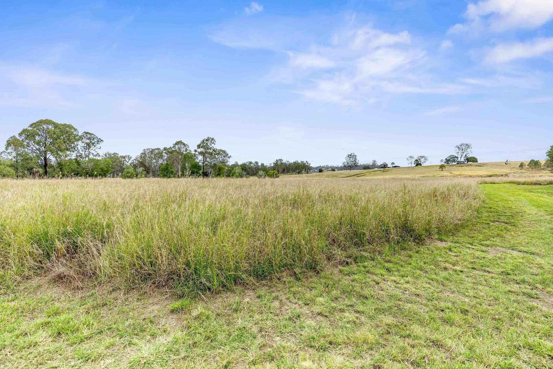 2532 Bruce Highway, Gunalda For Sale by Farmbuy.com - image 6