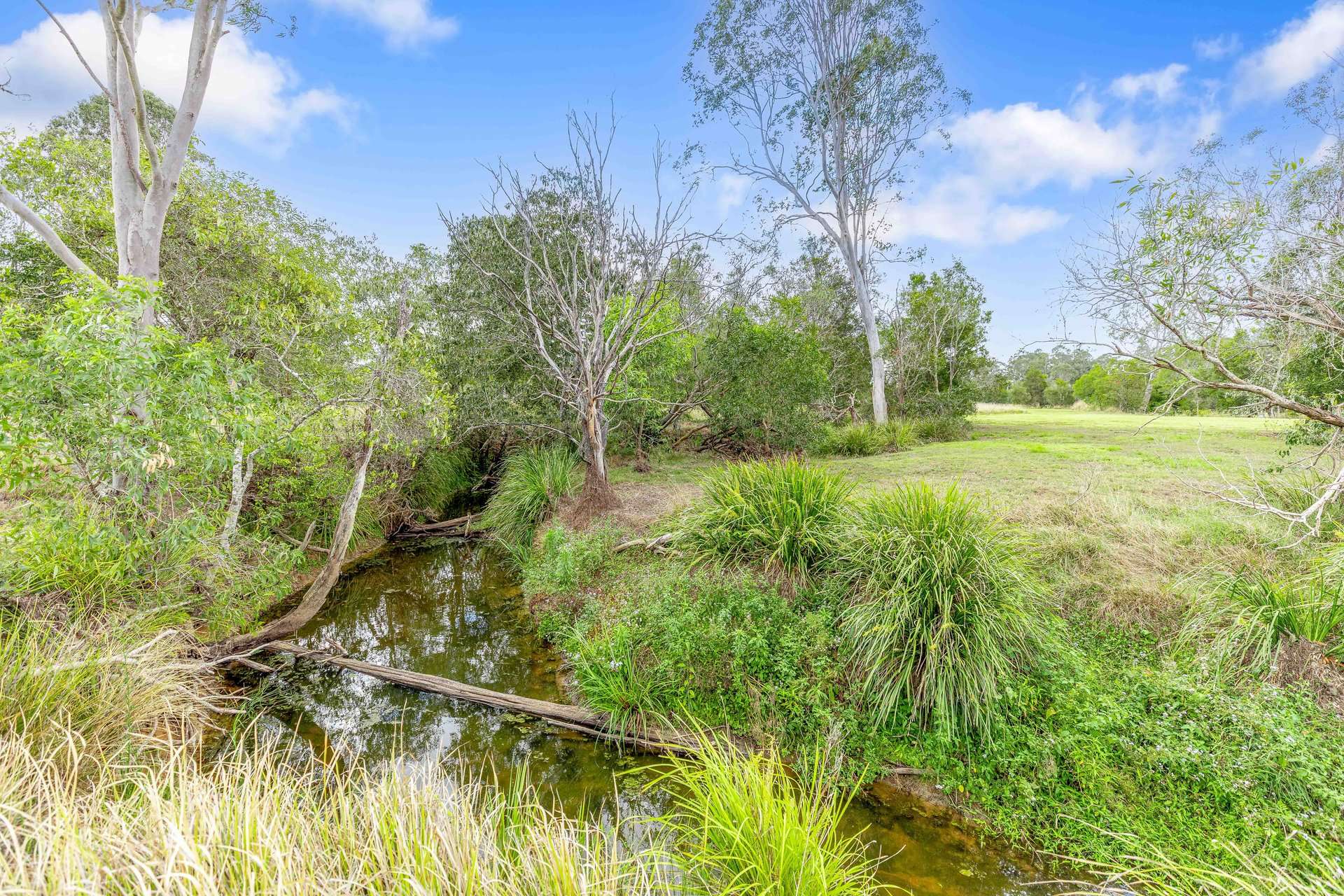 2532 Bruce Highway, Gunalda For Sale by Farmbuy.com - image 32