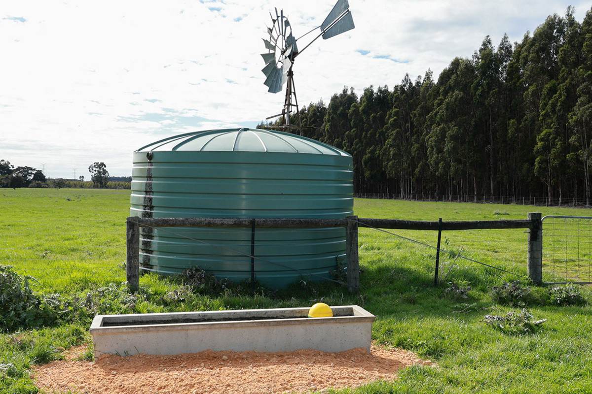 183 Peters Road, Tyrendarra For Sale by Farmbuy.com - image 11