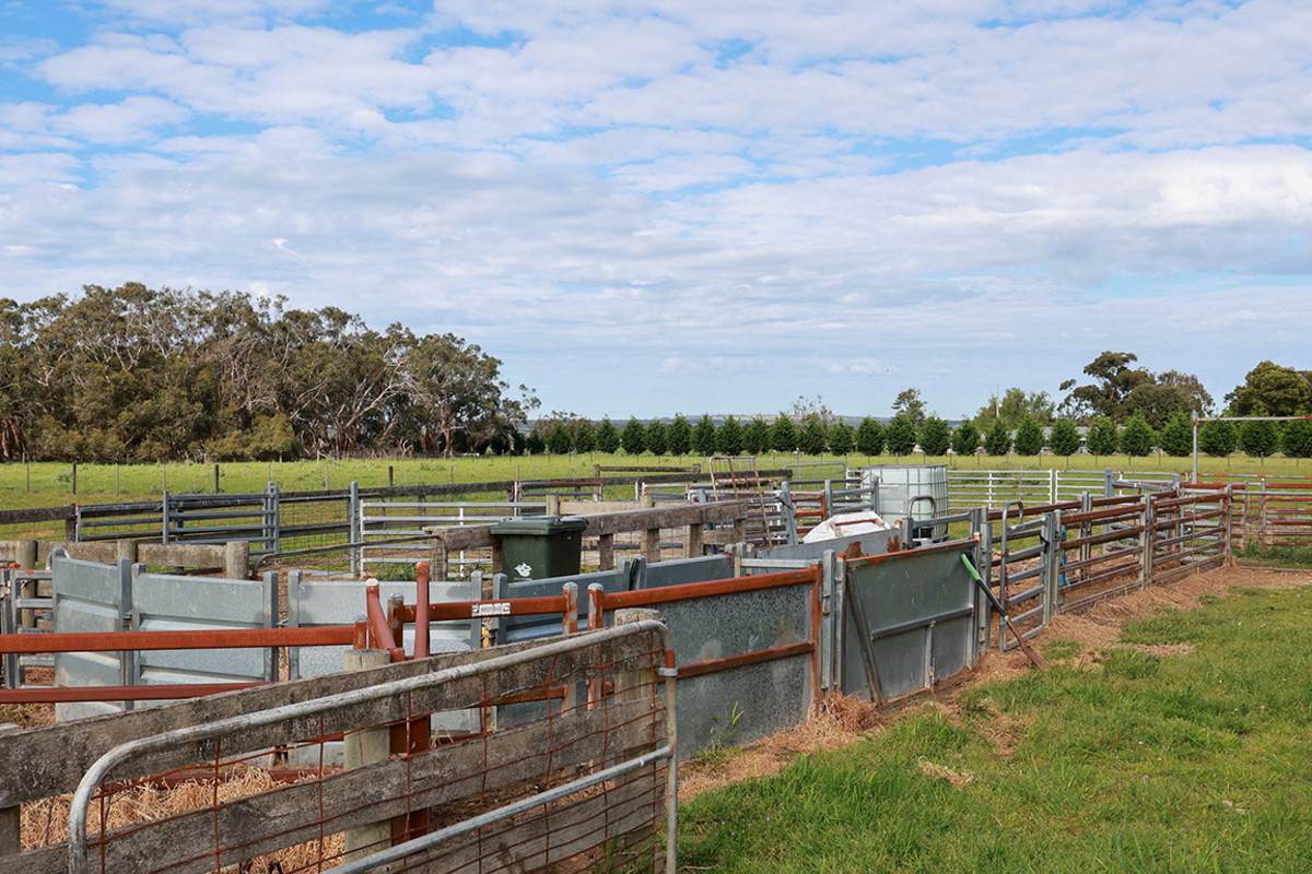 183 Peters Road, Tyrendarra For Sale by Farmbuy.com - image 9