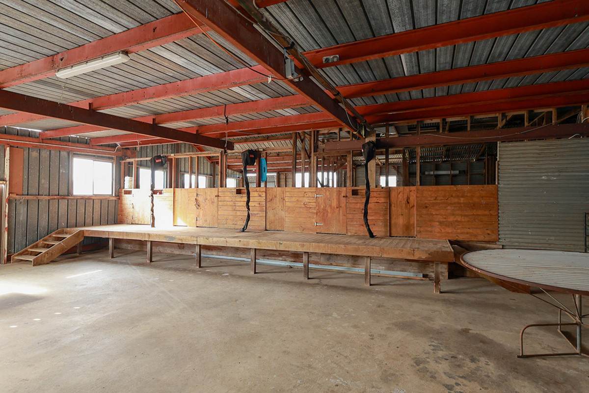 183 Peters Road, Tyrendarra For Sale by Farmbuy.com - image 7