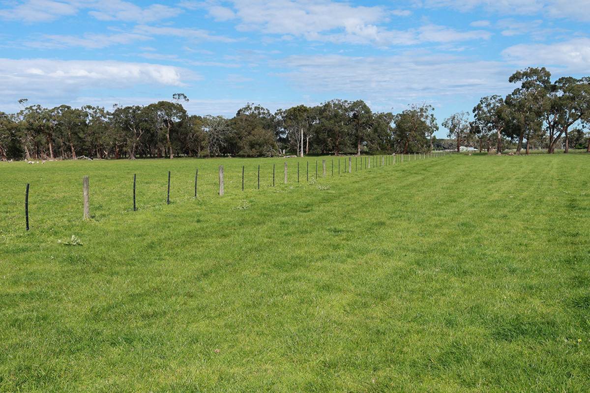 183 Peters Road, Tyrendarra For Sale by Farmbuy.com - image 13