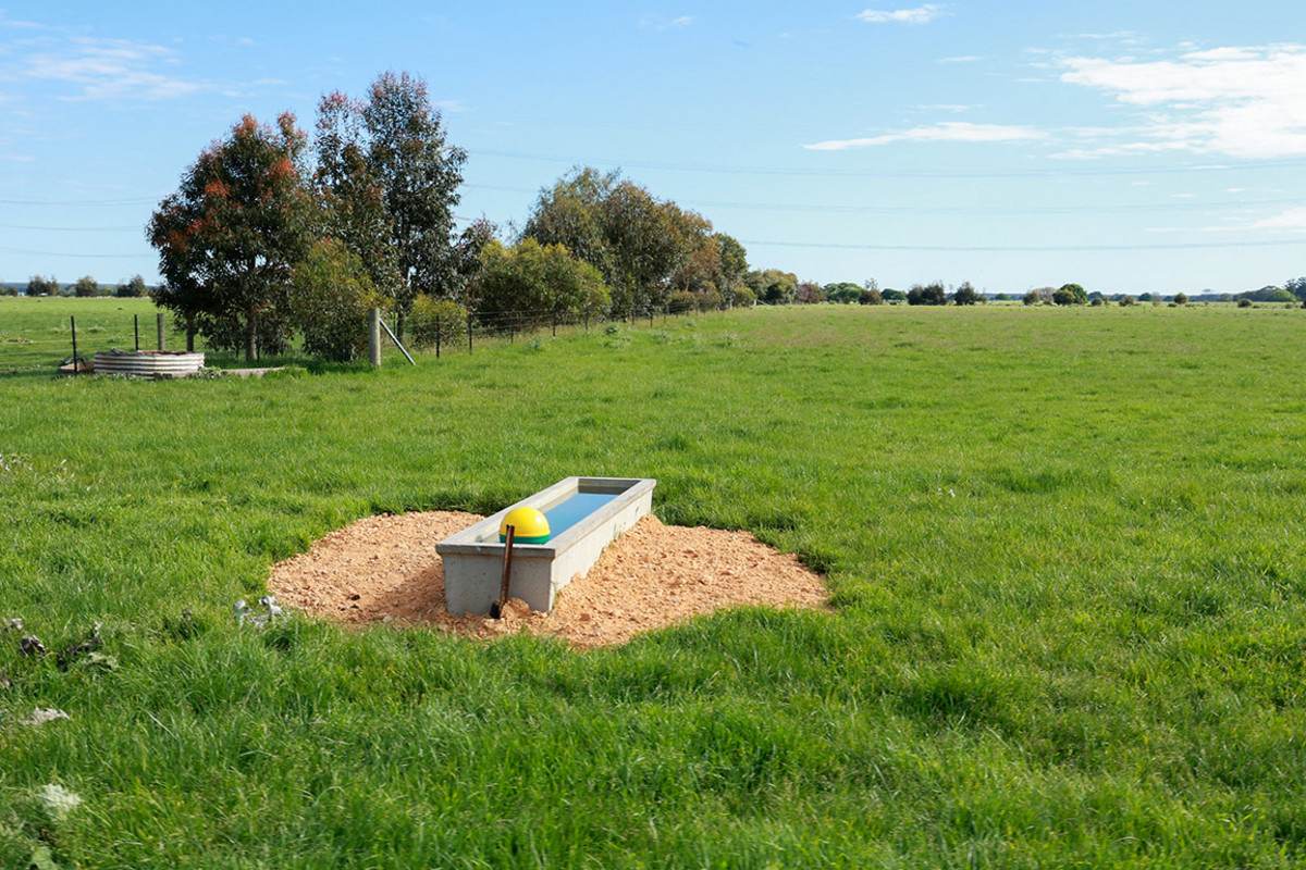 183 Peters Road, Tyrendarra For Sale by Farmbuy.com - image 12