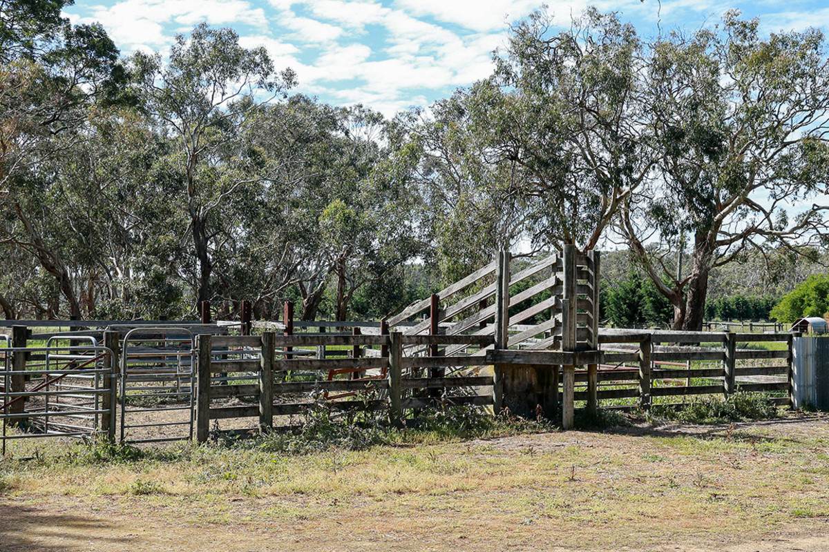 183 Peters Road, Tyrendarra For Sale by Farmbuy.com - image 10