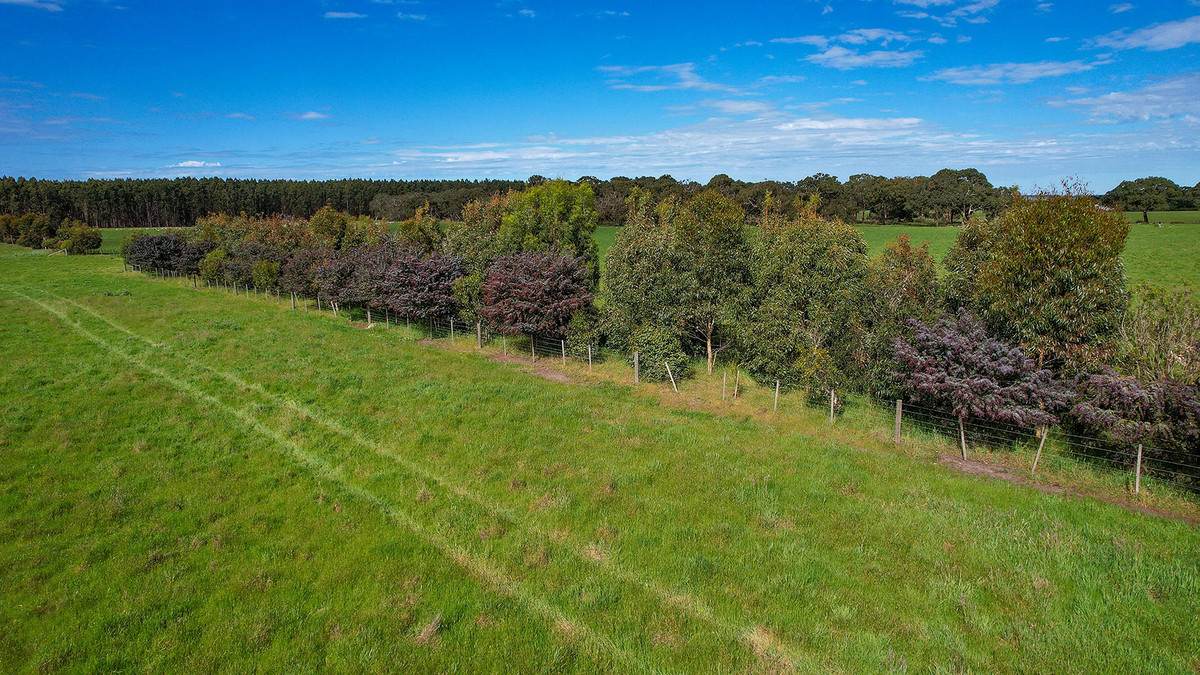 183 Peters Road, Tyrendarra For Sale by Farmbuy.com - image 2