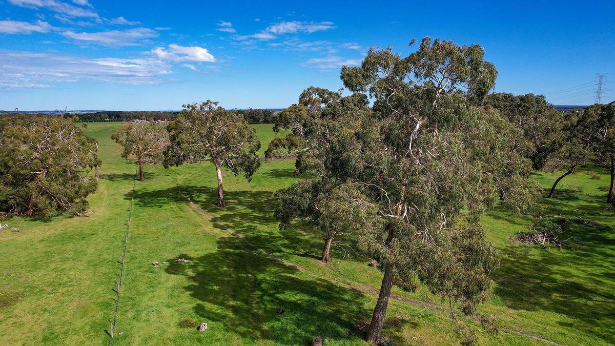 183 Peters Road, Tyrendarra For Sale by Farmbuy.com - image 4