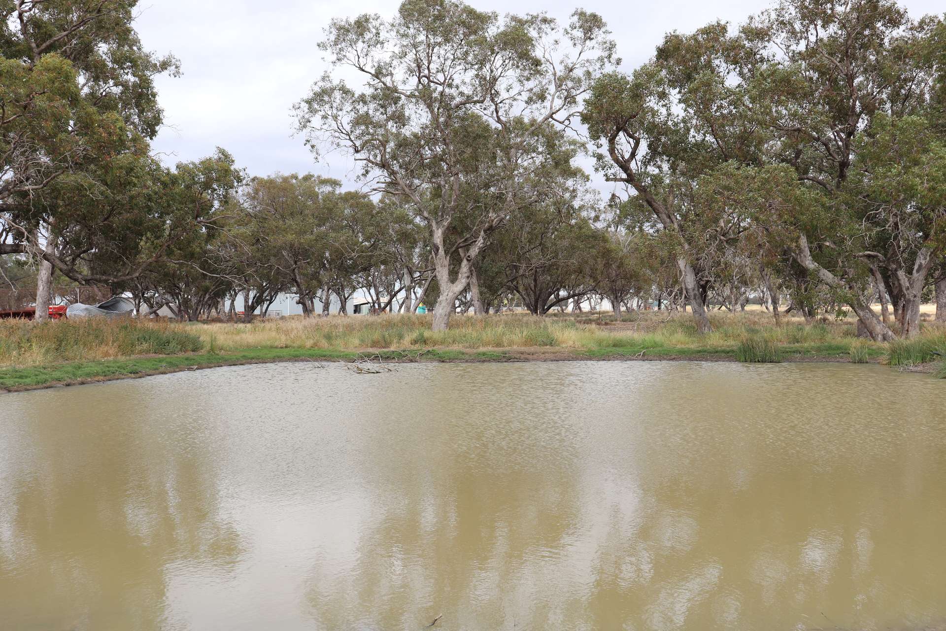 4355 Newell Highway, Wirrinya For Sale by Farmbuy.com - image 15