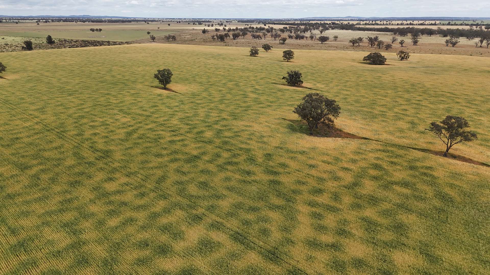 4355 Newell Highway, Wirrinya For Sale by Farmbuy.com - image 16