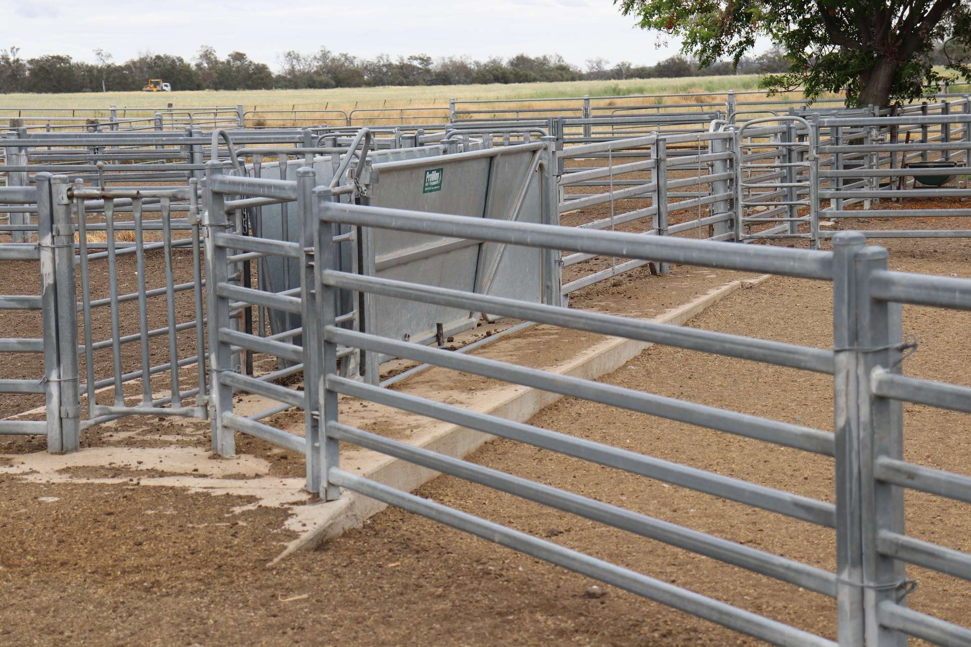 4355 Newell Highway, Wirrinya For Sale by Farmbuy.com - image 21