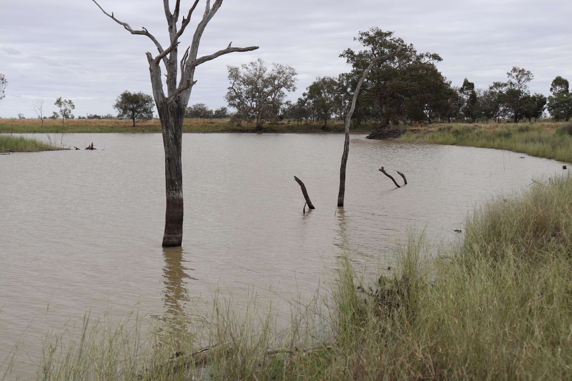 4355 Newell Highway, Wirrinya For Sale by Farmbuy.com - image 8