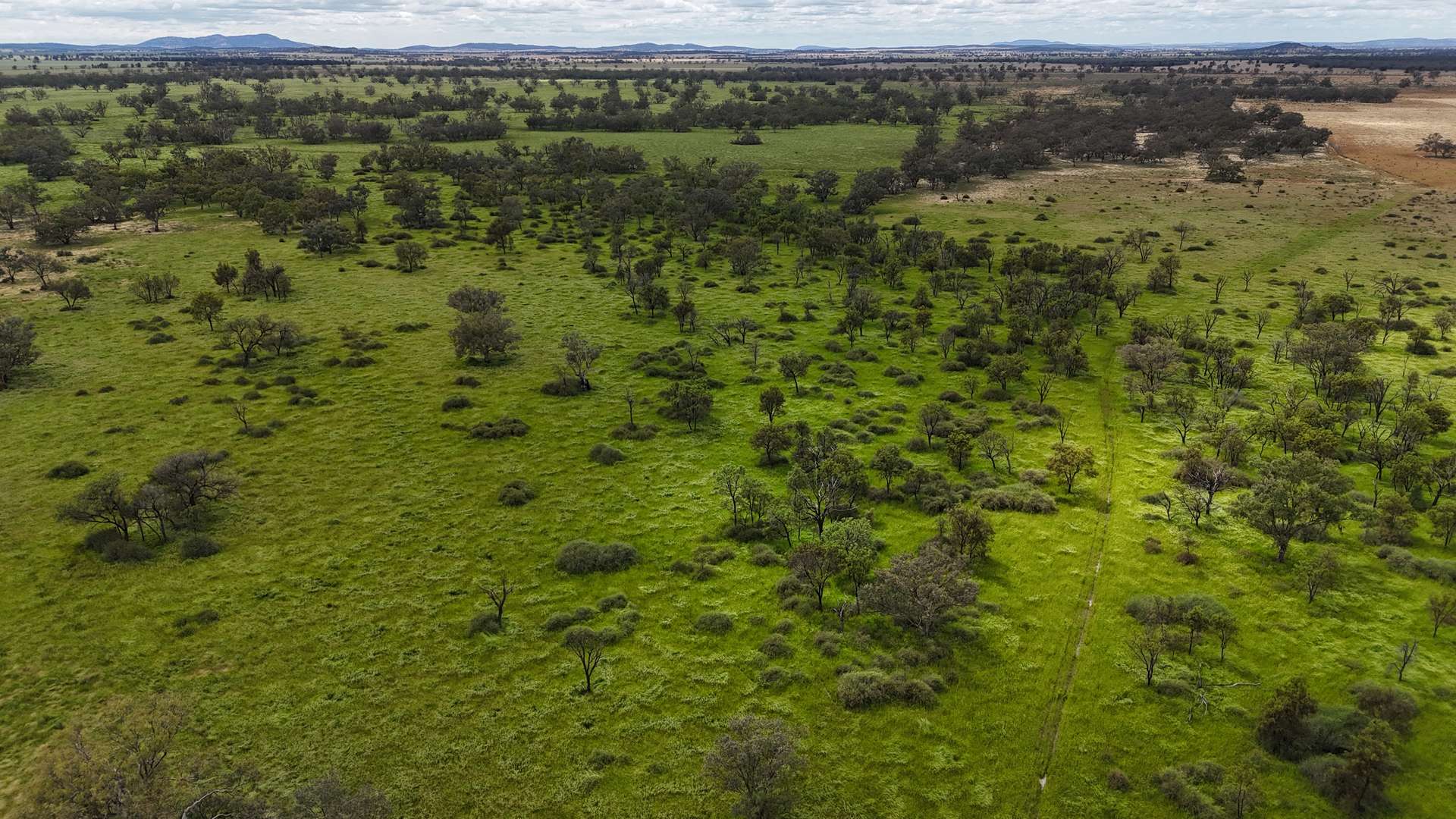 4355 Newell Highway, Wirrinya For Sale by Farmbuy.com - image 11