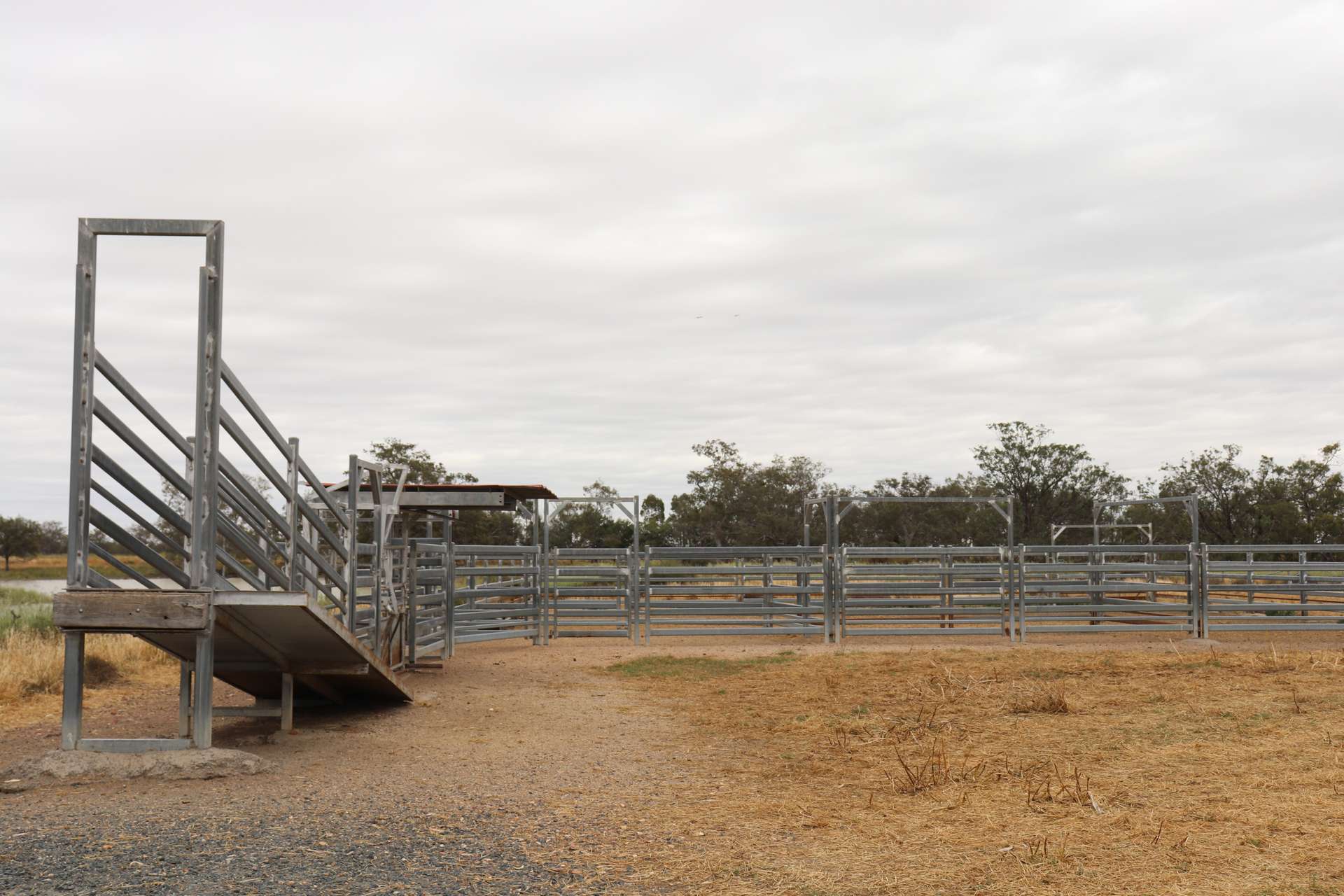 4355 Newell Highway, Wirrinya For Sale by Farmbuy.com - image 5