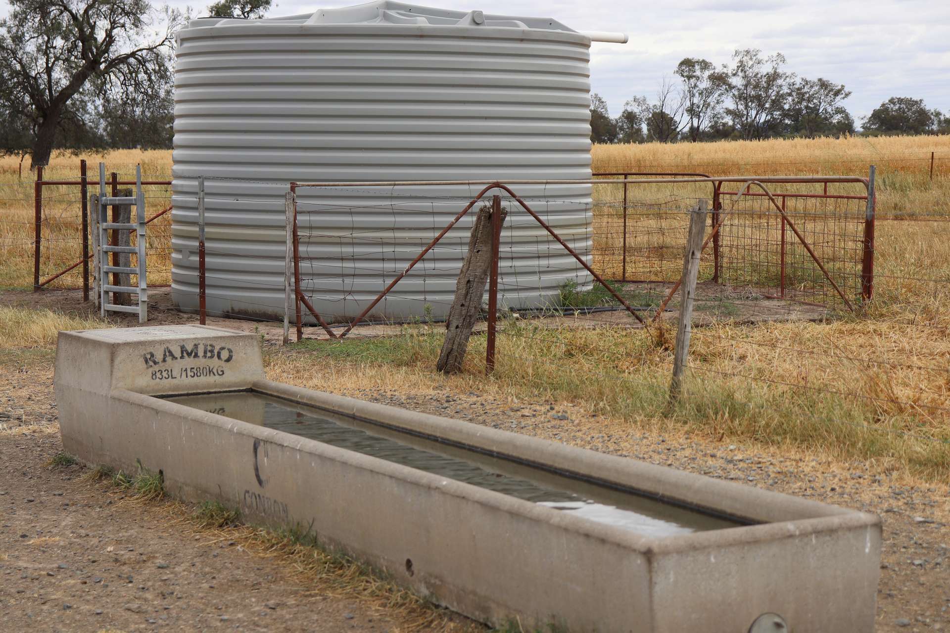 4355 Newell Highway, Wirrinya For Sale by Farmbuy.com - image 20