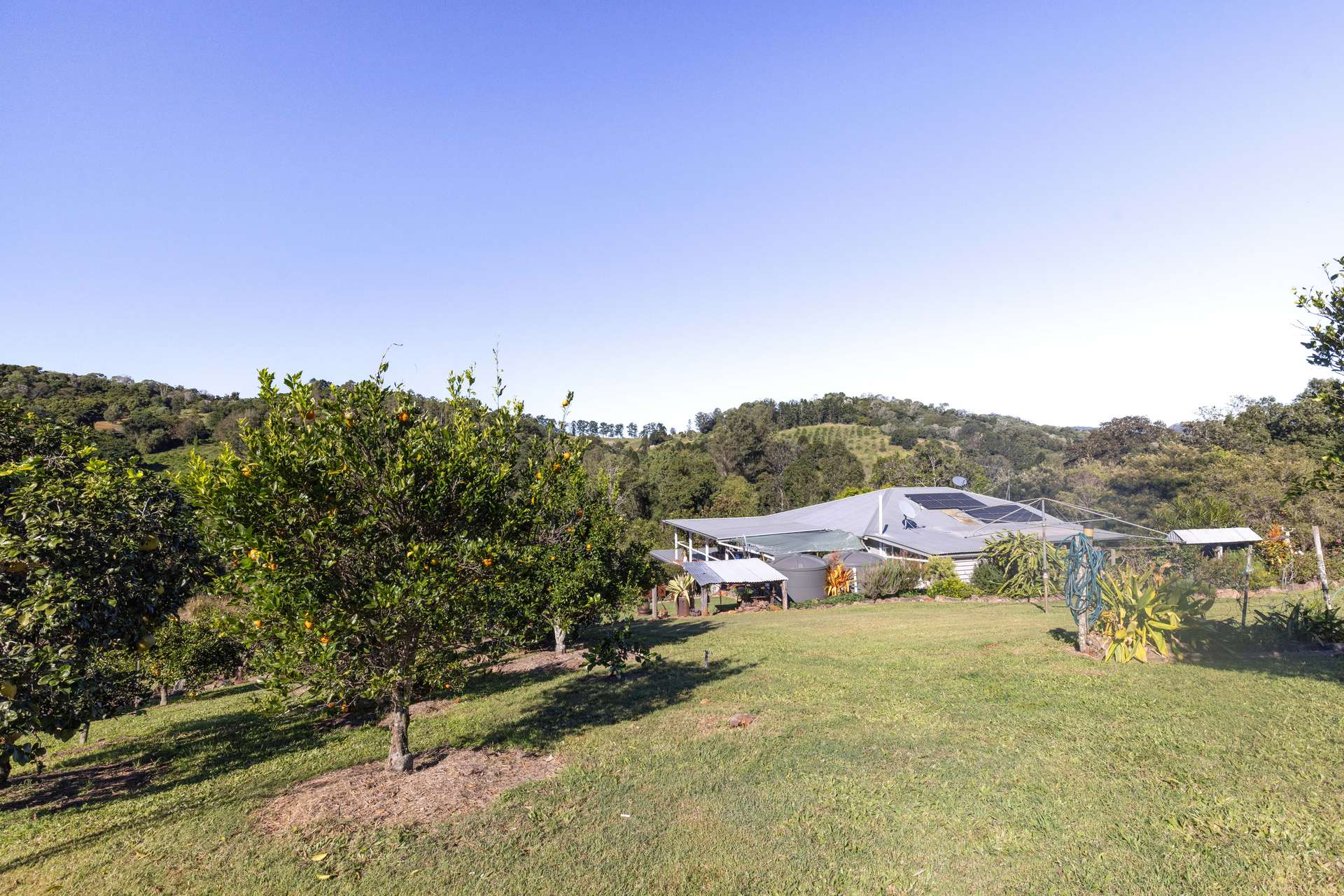 286 Amamoor Creek Road, Amamoor For Sale by Farmbuy.com - image 22