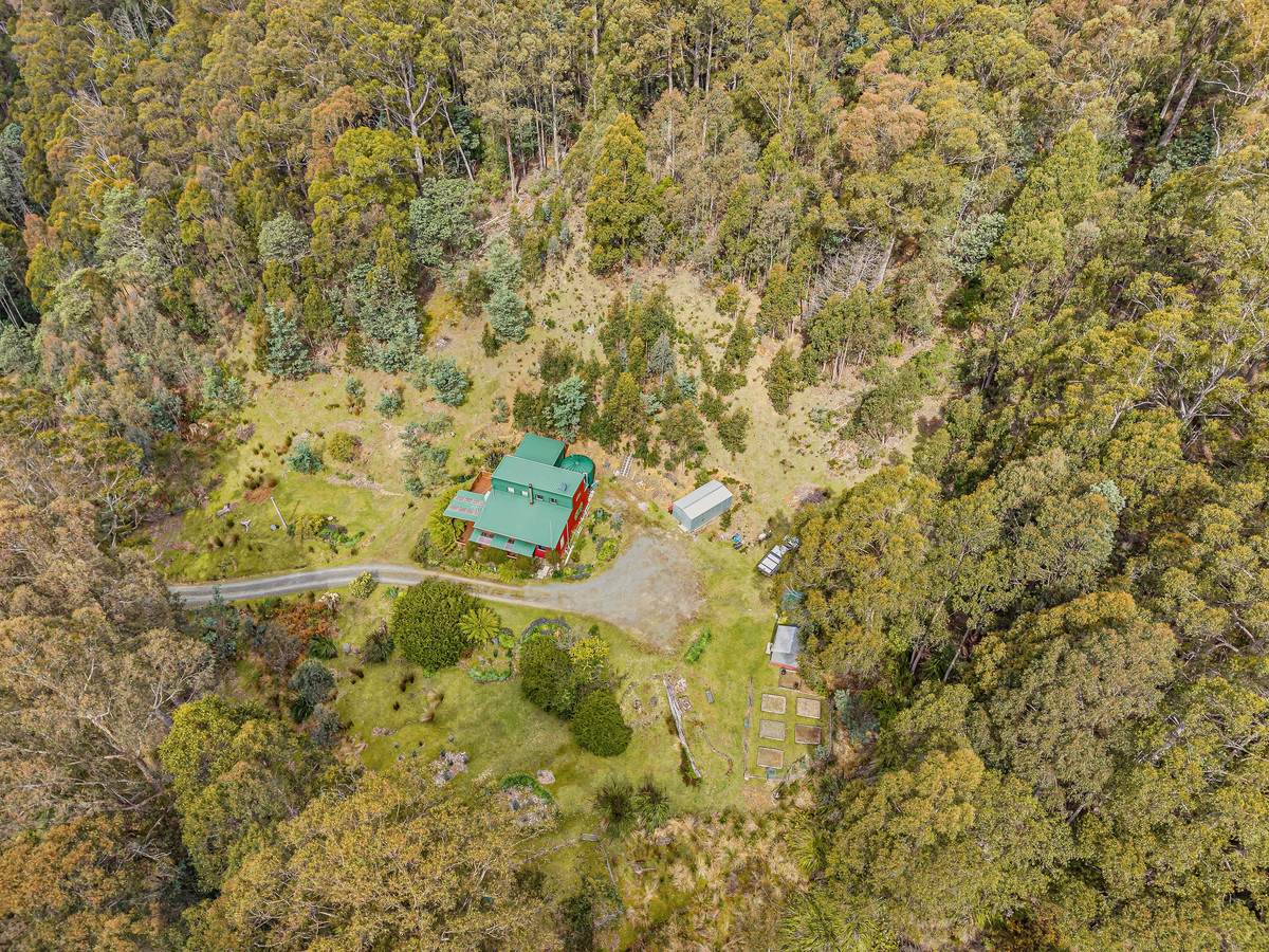 425 Halls Track Road, Sandfly For Sale by Farmbuy.com - image 30