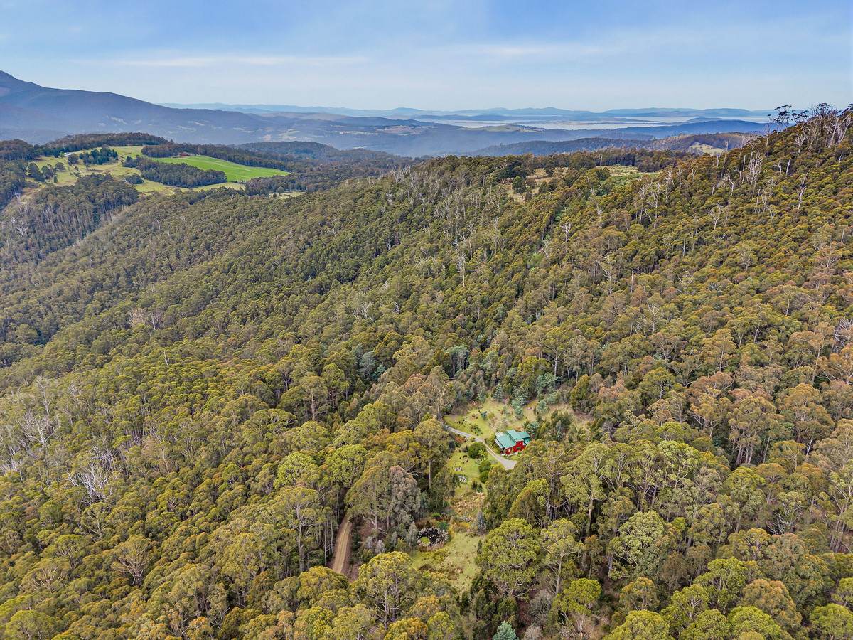 425 Halls Track Road, Sandfly For Sale by Farmbuy.com - image 28