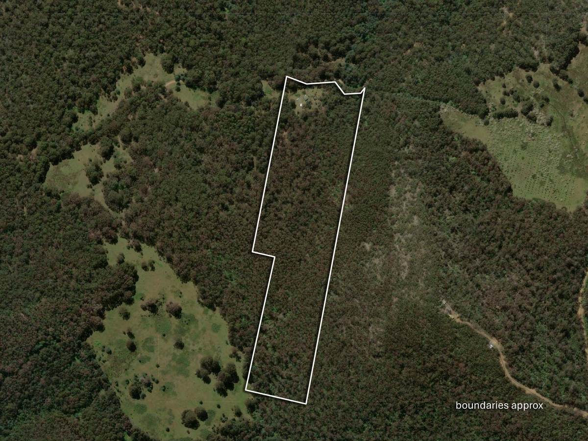 425 Halls Track Road, Sandfly For Sale by Farmbuy.com - image 33
