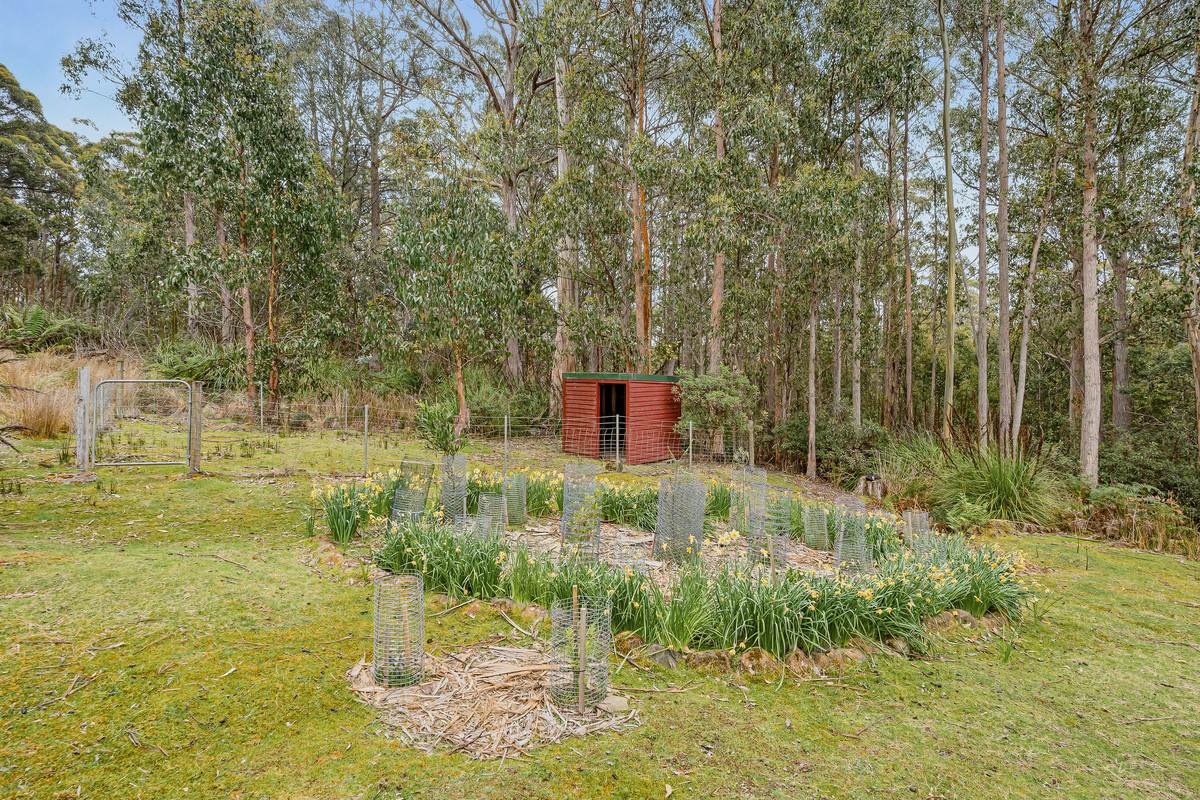 425 Halls Track Road, Sandfly For Sale by Farmbuy.com - image 24