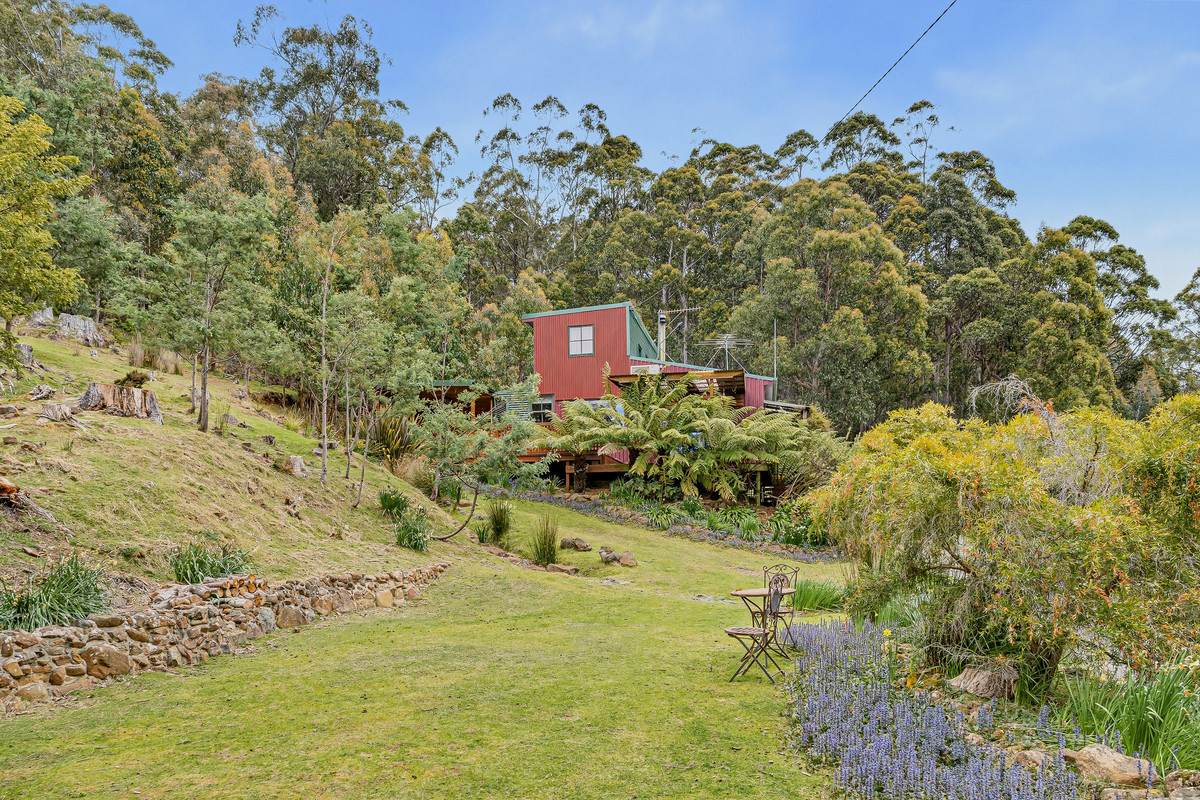 425 Halls Track Road, Sandfly For Sale by Farmbuy.com - image 2