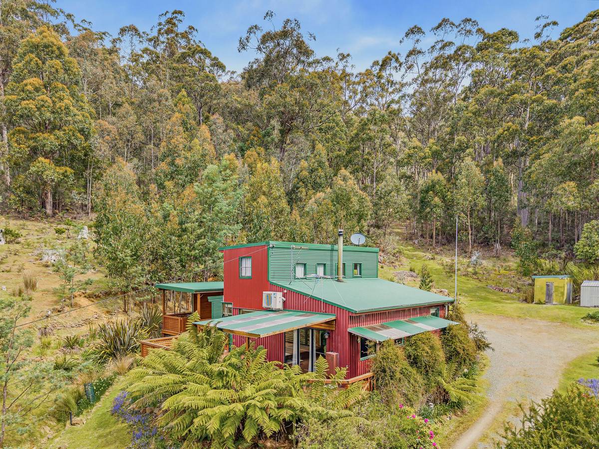 425 Halls Track Road, Sandfly For Sale by Farmbuy.com - image 5