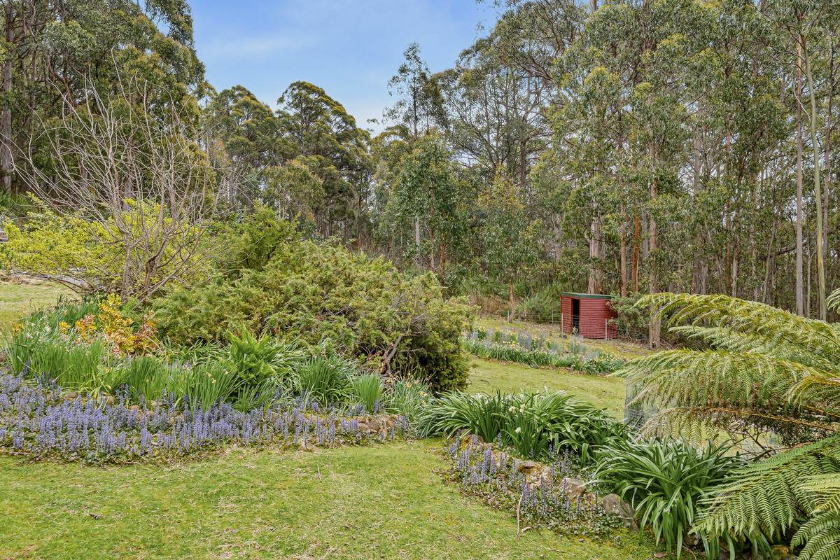 425 Halls Track Road, Sandfly For Sale by Farmbuy.com - image 25