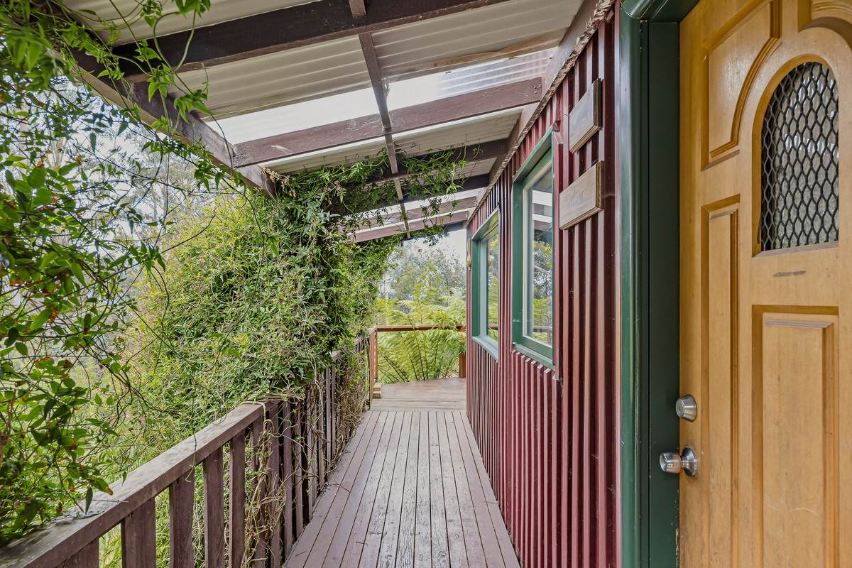 425 Halls Track Road, Sandfly For Sale by Farmbuy.com - image 3