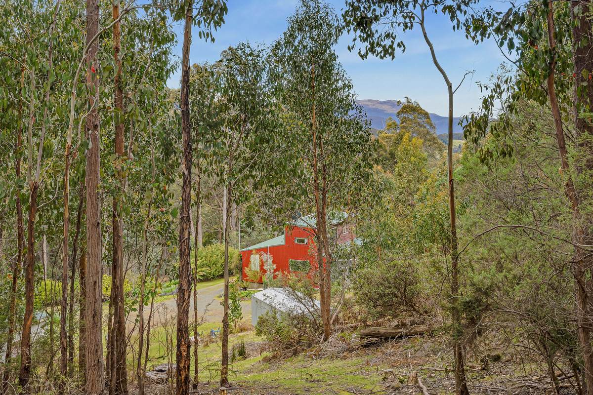 425 Halls Track Road, Sandfly For Sale by Farmbuy.com - image 27