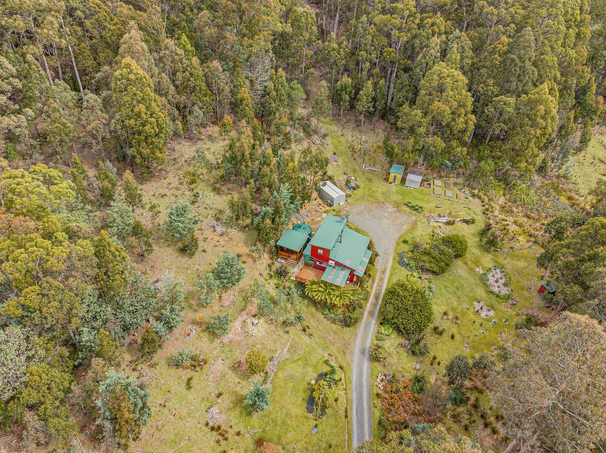425 Halls Track Road, Sandfly For Sale by Farmbuy.com - image 31
