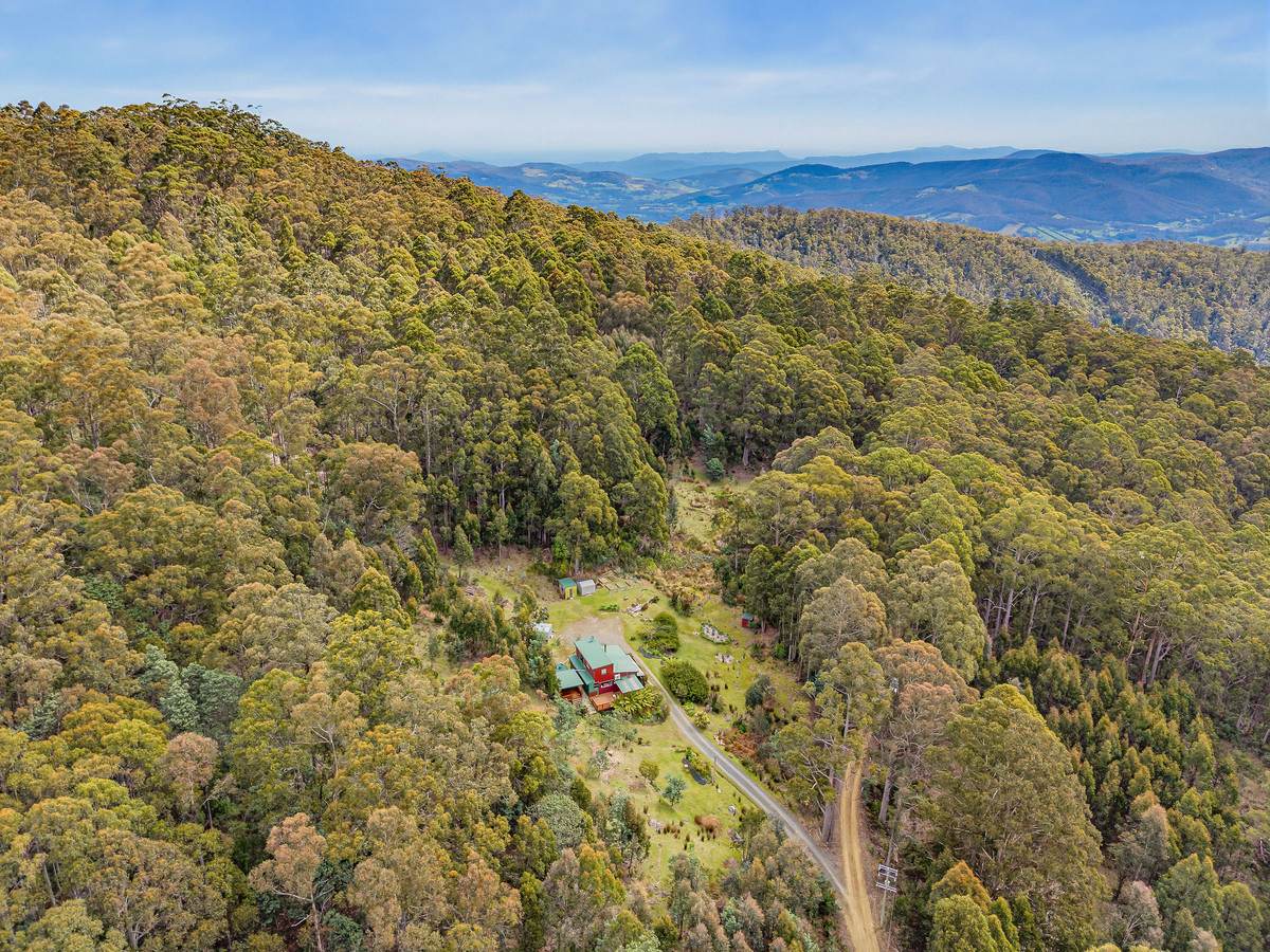 425 Halls Track Road, Sandfly For Sale by Farmbuy.com - image 32