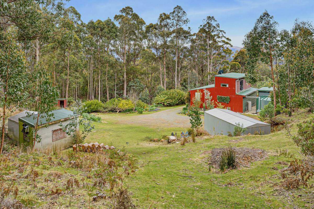 425 Halls Track Road, Sandfly For Sale by Farmbuy.com - image 21