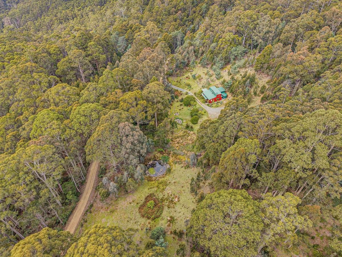 425 Halls Track Road, Sandfly For Sale by Farmbuy.com - image 29