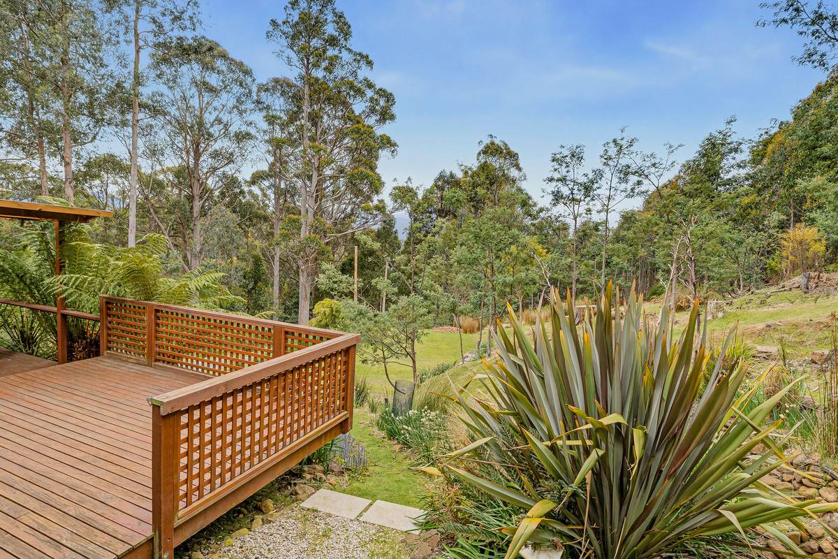 425 Halls Track Road, Sandfly For Sale by Farmbuy.com - image 20